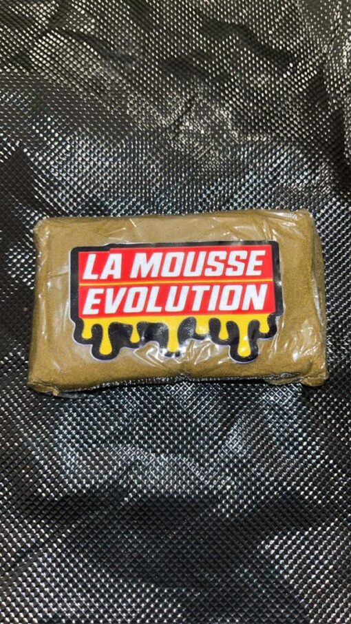 LA MOUSSE ÉVOLUTION