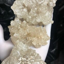 A Champagne MDMA