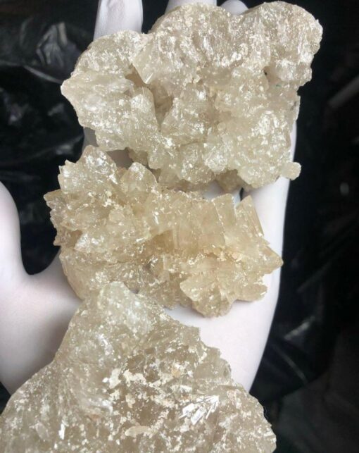 A Champagne MDMA
